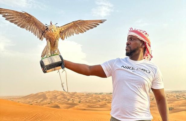 Dubai Desert Safari Adventure