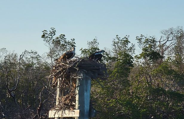 Sunset Tiki Experience-Fort Myers Beach Round Tiki Cruise
