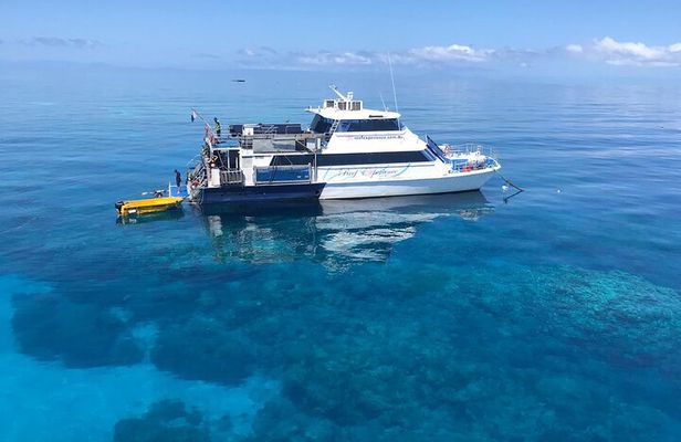 Cairns Value Outer Barrier Reef trip with Scuba Diving included