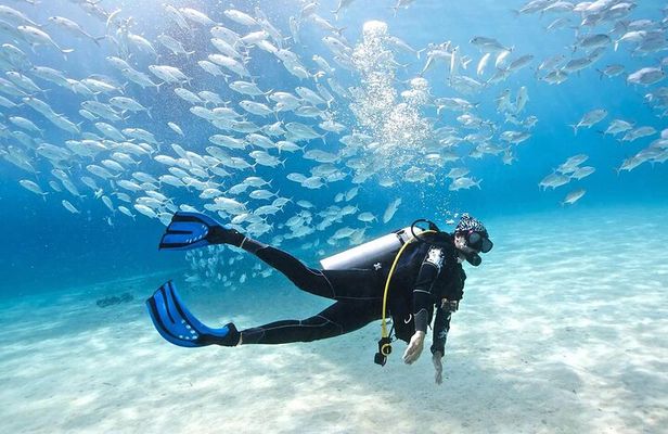 Diving Adventure at Ras Mohamed & White Island - Sharm El Sheikh