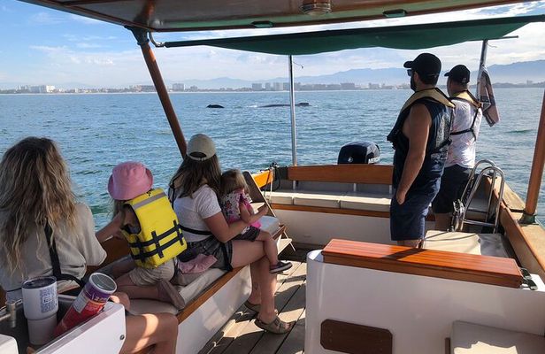 Premium Whale Watching Experience – 4 Hours in Vallarta