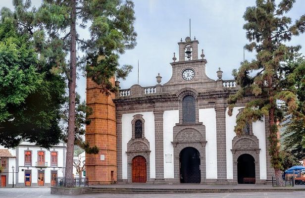 Picos de Gran Canaria by Minibus: Firgas, Teror, Aloe Vera and More