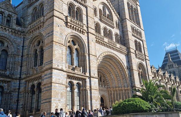 Discover the Natural Marvels of London A Museum Visit + Ebook