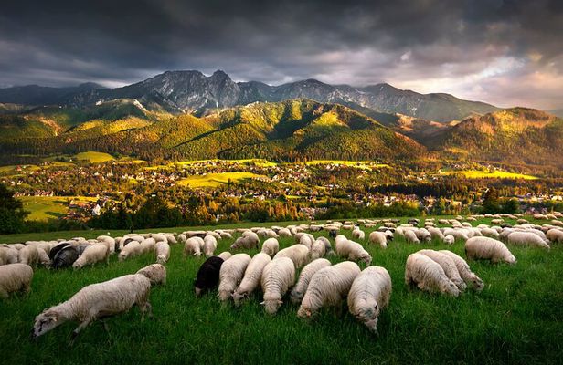 Krakow to Zakopane Tour with Cable Car Ride, Vodka & Chesse