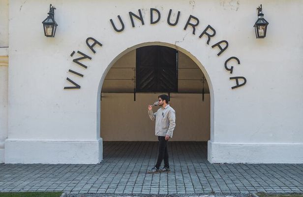 Half day Santa Rita and Undurraga Winery Tasting Tour in Santiago