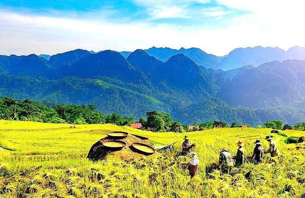 Full Day Pu Luong with Cycling, Cooking Class, Buffalo Cart Ride.