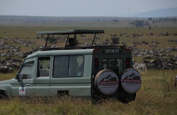8 Days Explore Serengeti Great Wildebeest Migration Tour