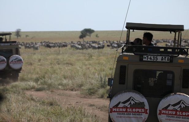 8 Day Mid Range Serengeti Wildebeests Migration Tour