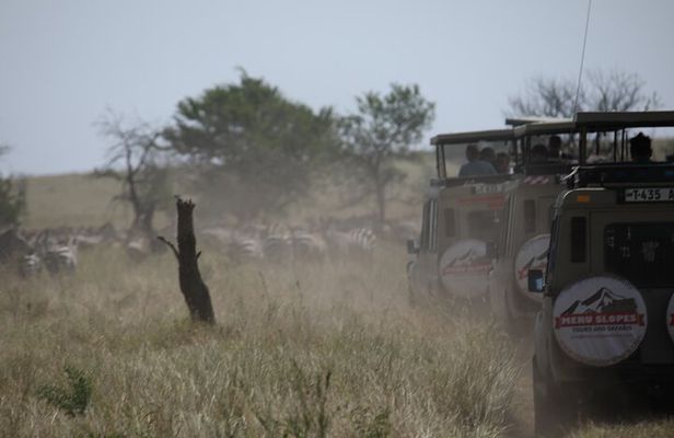 Private 6 Day Great Wildebeest Migration Ndutu Calving Season