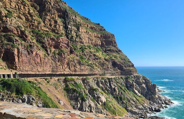 From CapeTown:TableMountain,Penguins &Wine Testing in Constantia