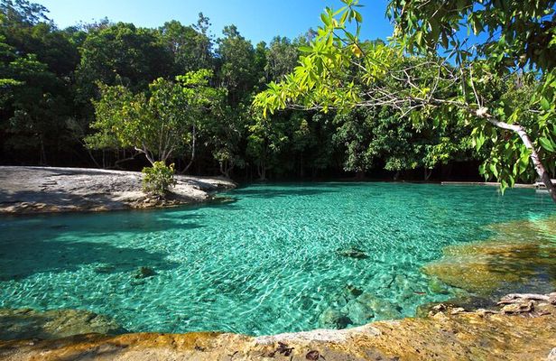 Tiger Cave and Emerald Pool Jungle Tour