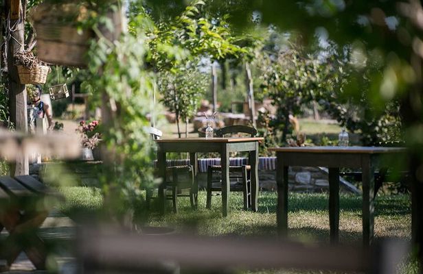Pelion Private Experience: Farm-to-Table Cooking