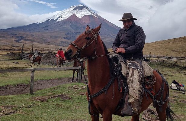 Cotopaxi tour from Quito -horseback ride and hike-NO TOURISTY way