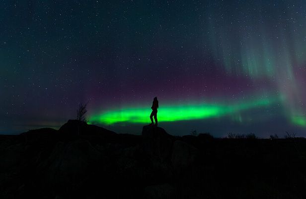 Lofoten Ultimate Aurora Hunt