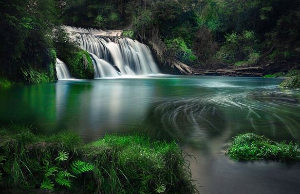 Te Mata Explorer Private Tour from Napier Cruise Port