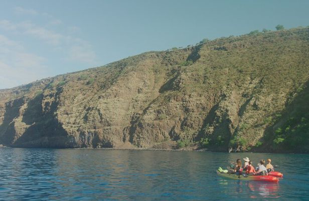 Morning Magic Kayak and Snorkel Adventure in Kealakekua Bay