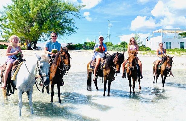 Small Group Horseback Riding Adventure in Caicos Islands 