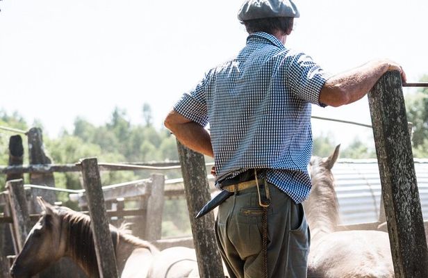 Three Days Tour In A Traditional Ranch Estancia La Pilona