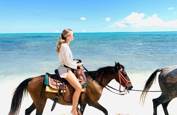 60-Minute Private Horseback Riding Experience in Turks and Caicos