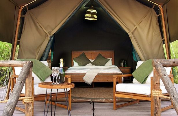 Overnight Dubai Desert Safari: BBQ, Soft Drinks & Stargazing
