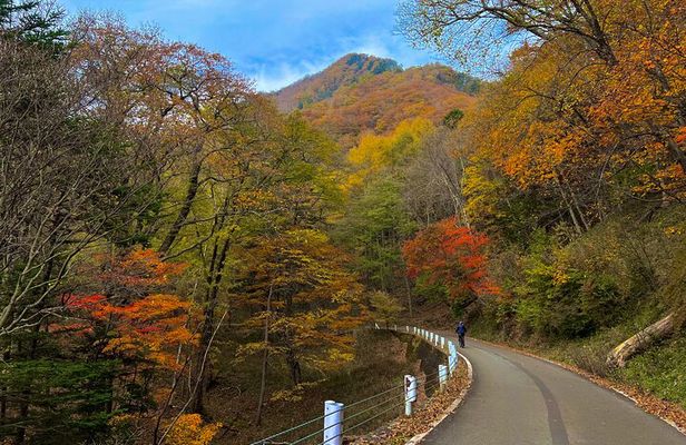 Nikko Cycling Tour with Local Guide