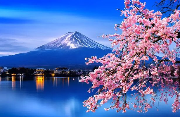 Mount Fuji & Lake Kawaguchiko Exclusive Tour: Beyond the Ordinary