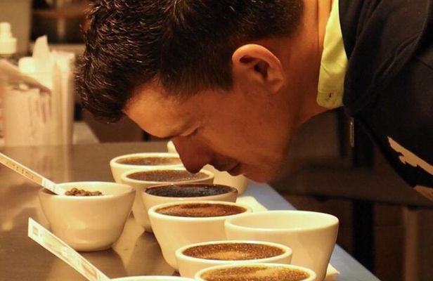 Panama Crafted Geisha Coffee Tasting Experience