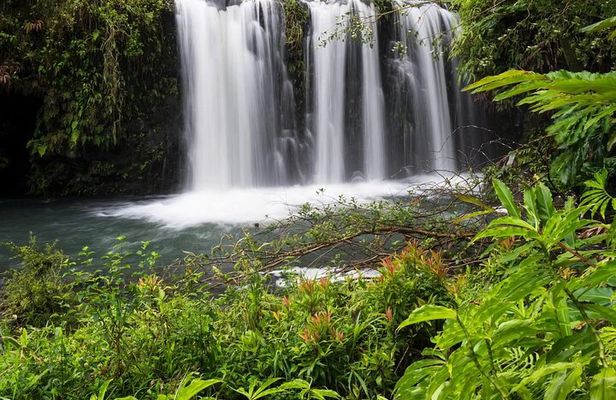 Private Road to Hana Rainforest & Waterfall Experience from Maui