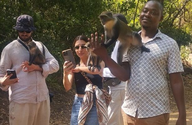 Gede Ruins & Malindi Tour