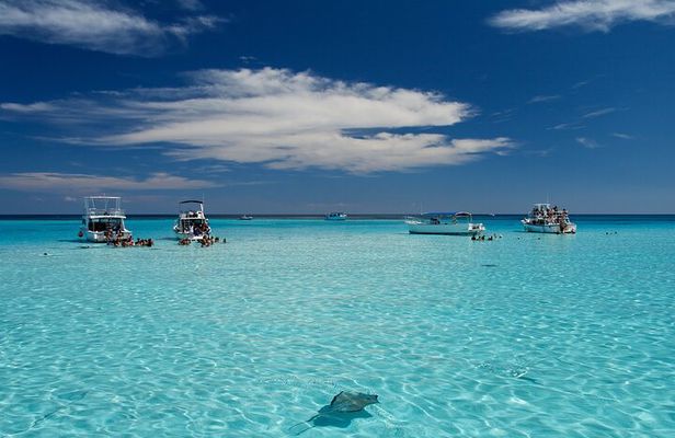 Grand Cayman 3-Stop Snorkel Adventure: Stingray City & Reefs Tour