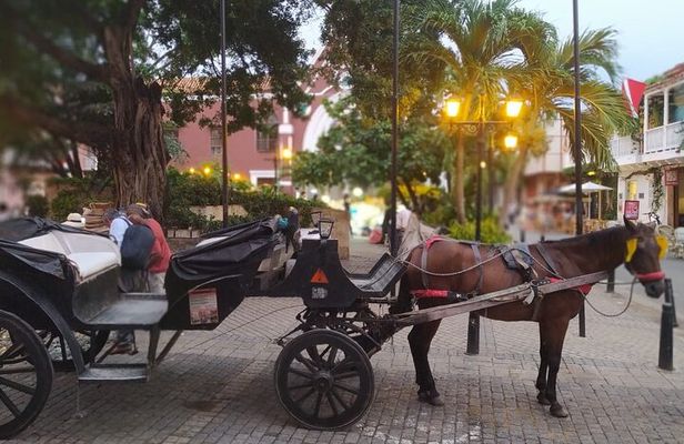 Colonial Carriage with Private Horse through the Ancient City