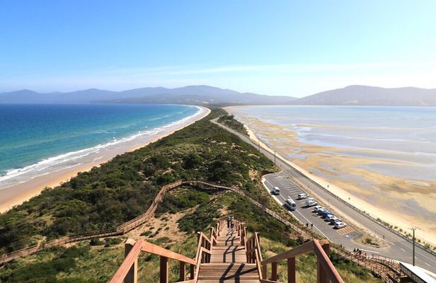 Tasmania|Bruny Island Full-Day Escapes From Hobart