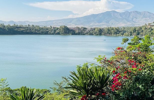 Day Trip to Debra Zeit