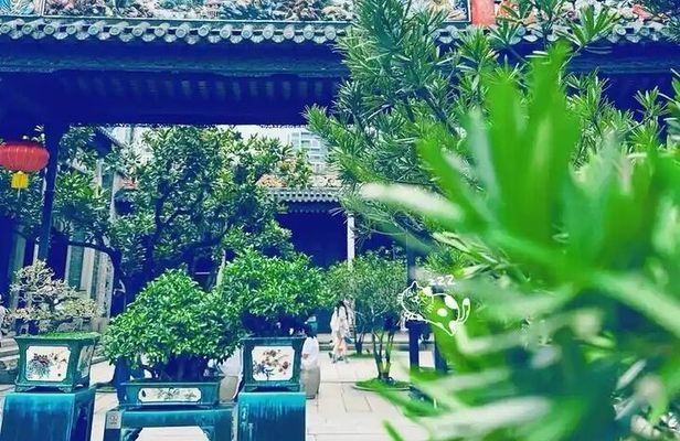 Taste Of Guangzhou , Dim Sum , Tea Culture