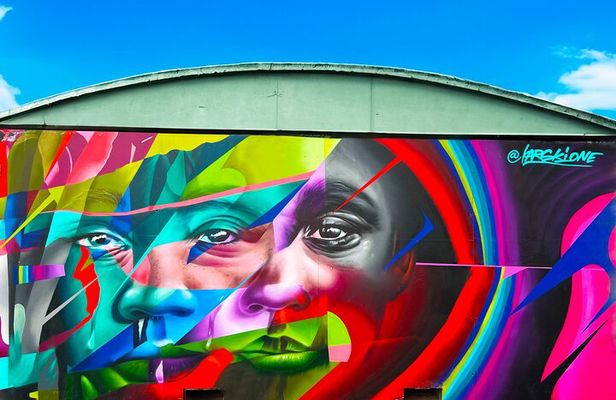 2.5 Hour Private Street Art Walking Tour, local Dutch guide