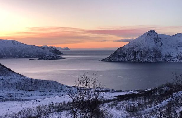Fjords Tour with campfire and photos