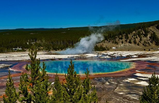 Full Day Private “Pet Friendly” Yellowstone Tour From Cody Wyo!