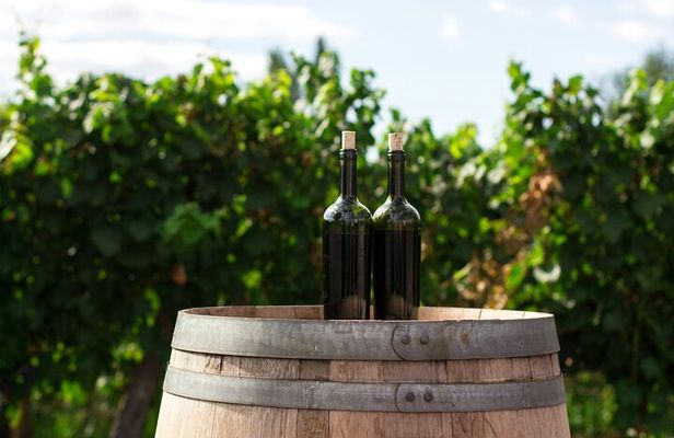 Prague Private Wine Tour