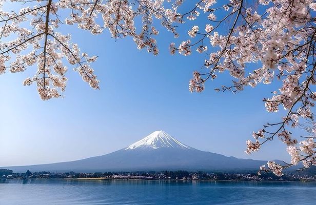 Peaks & Peace: Mt. Fuji, Fuji Stupa & Hakone Tour