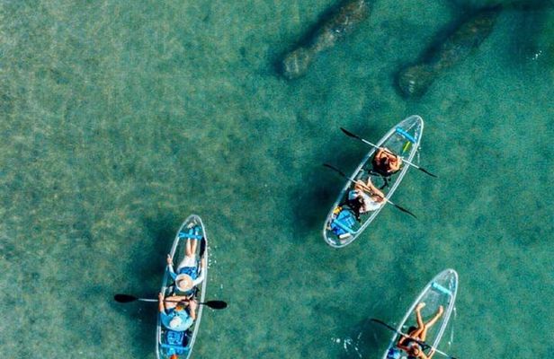 Clear Kayak Peanut Island Guided Tour Palm Beach Singer Island