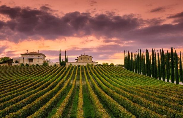 from Rome Montepulciano and Montalcino, the Wine Routes