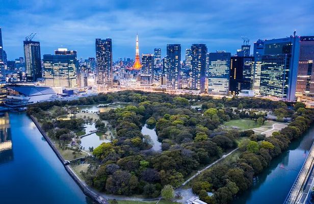 Customizable Private Tokyo Tour with an English-speaking Driver 