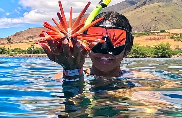 Unlimited Guided Snorkeling Tour for Beginners Plus
