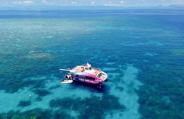 Half Day Great Barrier Reef Snorkeling Trip