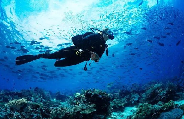 Experience Nha Trang Scuba Diving with Certified Dive