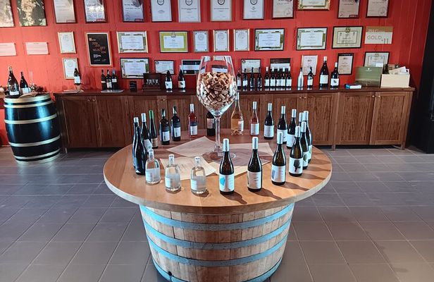 Crete Discovery Palace of Knossos, Wine and Olive Oil Experience