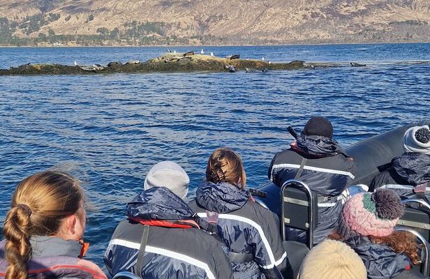 Fort William Speed boat adventure 90 minutes