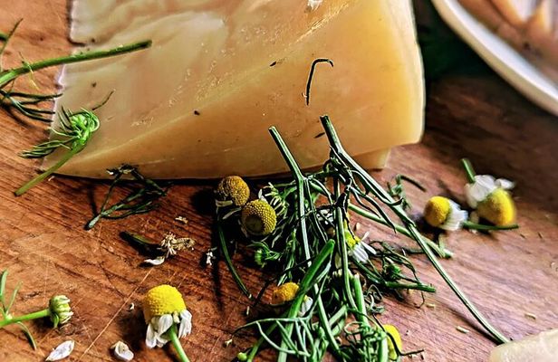 Taste of Europe in Mexico: History and Flavors of Artisan Cheese