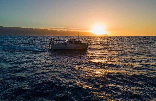 Whale Watching on "The World Famous North Shore of Oahu", Hawaii
