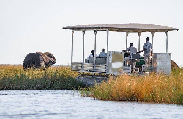 3 Days Camping Safari in Chobe National Park From Victoria Falls